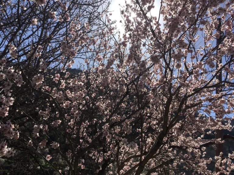 ΜΟΝΟΠΑΤΙ ΠΑΝΑΓΙΑ ΤΟΥ ΑΡΑΚΑ – ΣΤΑΥΡΟΣ ΤΟΥ ΑΓΙΑΣΜΑΤΗ