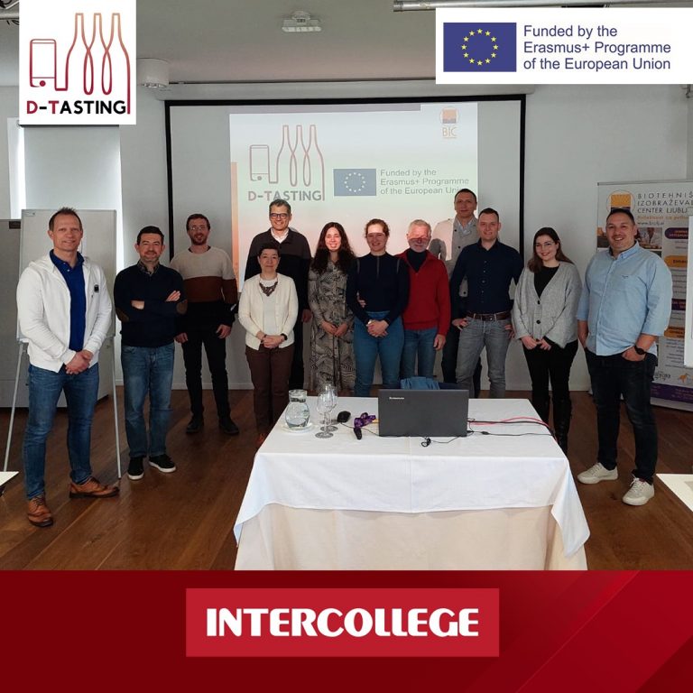 D-Tasting: Ψηφιακή Γευσιγνωσία στον τομέα «Οίνος & Φαγητό»