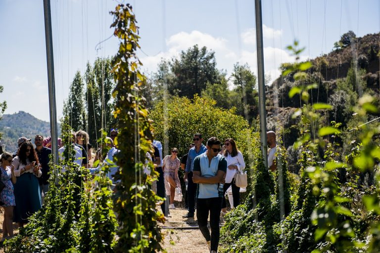 Η πρώτη καλλιέργεια λυκίσκου στην Κύπρο από τον Όμιλο Φώτος Φωτιάδης και την μπίρα Λέων