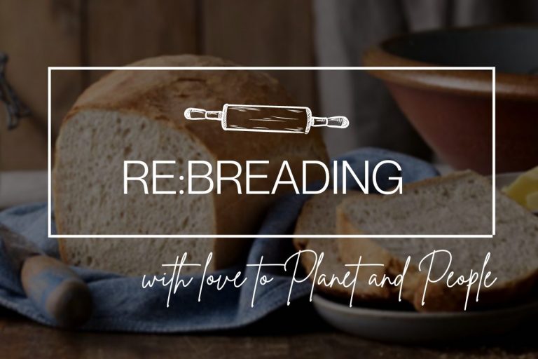 Το ευρωπαϊκό πρόγραμμα ReBreading αλλάζει  το ψωμί όπως το ξέρουμε