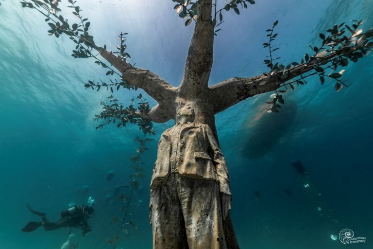 Παρακολούθηση, αξιοποίηση και προστασία Θαλάσσιων Προστατευόμενων Περιοχών στην Κύπρο