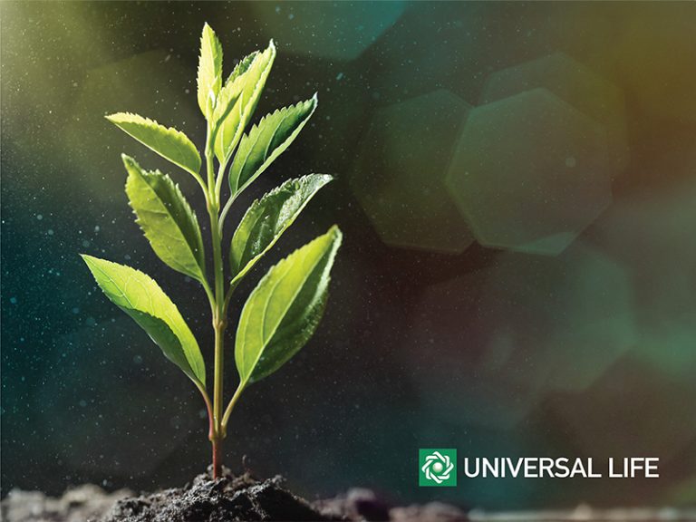 Η Universal Life στηρίζει την αναδάσωση της Κύπρου: Μια πράξη φροντίδας για το περιβάλλον και τις επόμενες γενιές