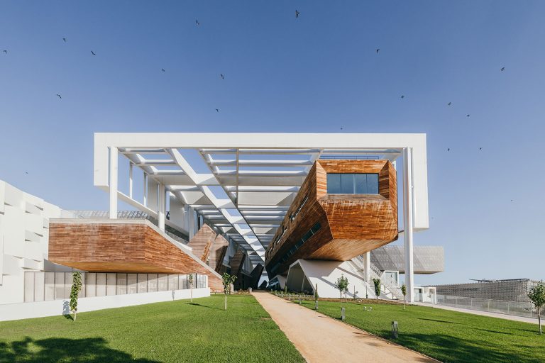 Νέα διεθνής ακαδημαϊκή διάκριση για την Καθηγήτρια Δέσπω Φάττα-Κάσινου του Πανεπιστημίου Κύπρου