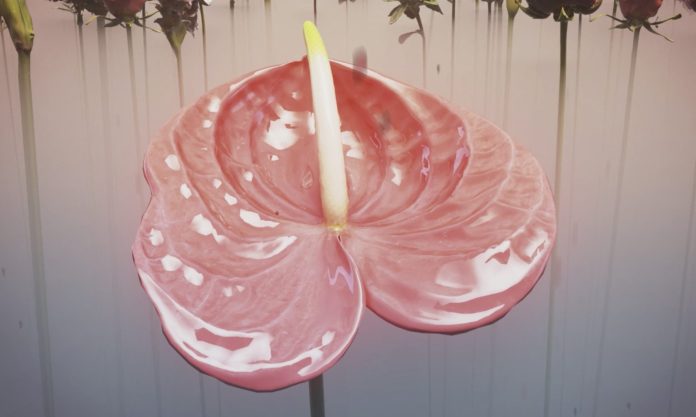 Tai Shani,My Bodily Remains,Your Bodily Remains and All the Bodily Remains that Ever Were and Ever Will Be,2023