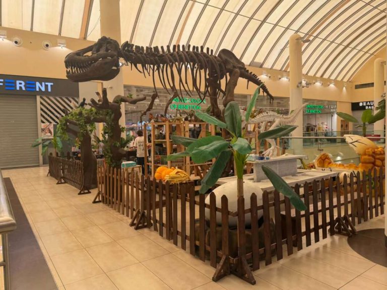 Γίνε Παλαιοντολόγος για μια Ημέρα στο My Mall Limassol!