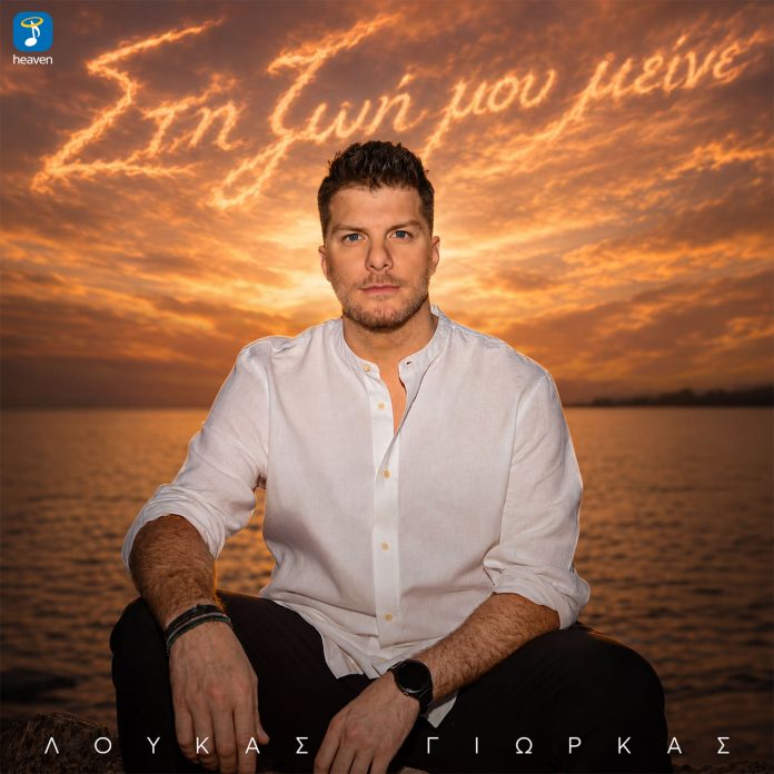 SINGLE-COVER