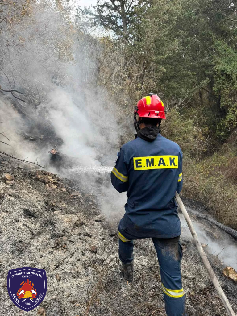 Οι Γενικές Ασφάλειες στο πλευρό της Πυροσβεστικής Υπηρεσίας